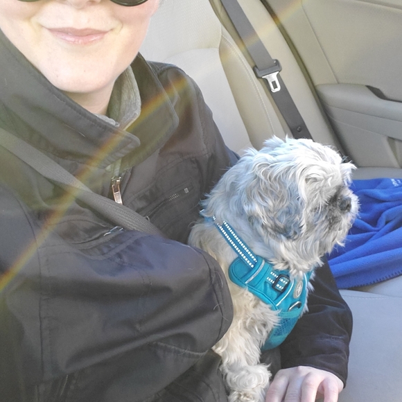 Meet your Posher, Tara - Picture 8 of 13